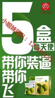 纖纖梅的健康功效與教育場地出租 創業與資源利用的雙贏之道